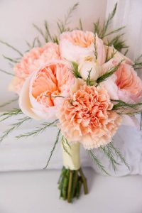 dpeach carnations
