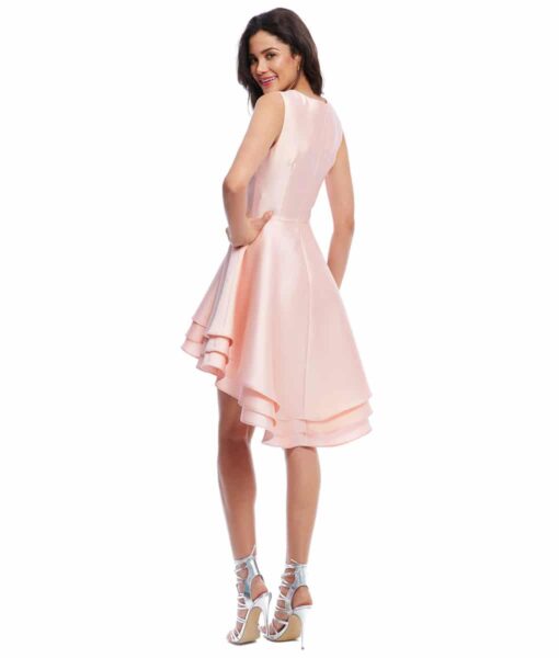 Alila Boutique Pale Pink ruffle mini dress