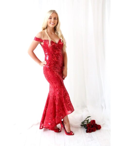 Alila Burgundy Sequins FIshtail Gown