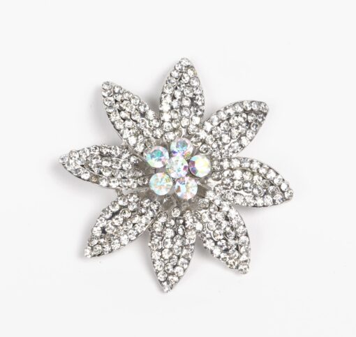 fashion brooch