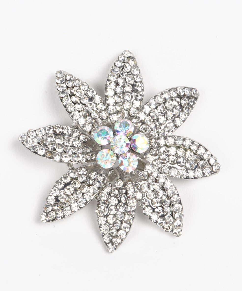 fashion brooch