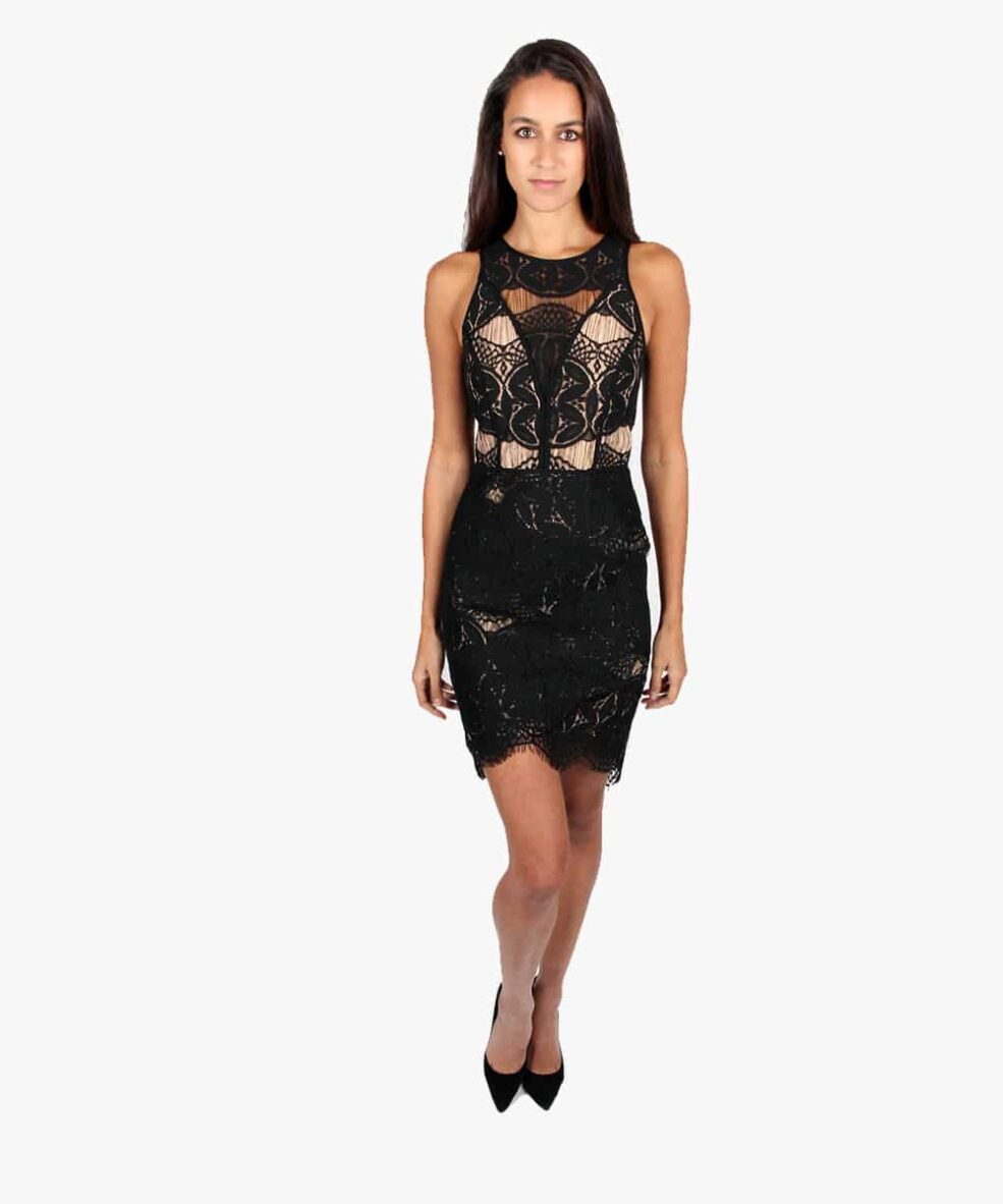 Alila Black Fitted Lace Dress by Adelyn Rae
