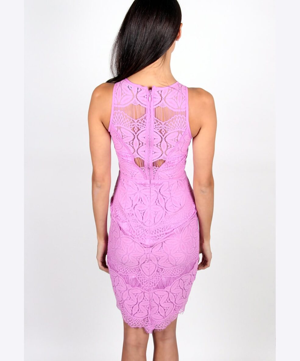 Alila Lilac Fitted Lace Dress By Adelyn Rae