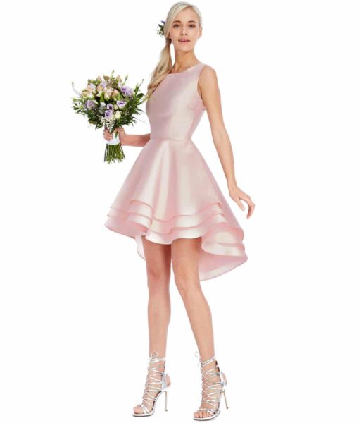Alila Boutique Pale Pink ruffle mini dress