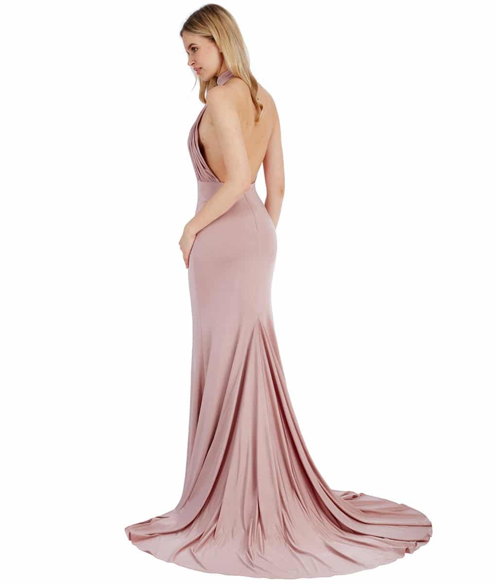 Alila Blush Backless Gown