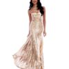 Alila Champagne Sweetheart Sequins gown