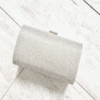 Alila-Silver-Box-Clutch-Front