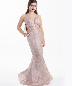 Chloe Ormond Rose Gold Glitter Cut Out Gown Alila